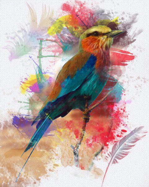 رنگ پرنده انتزاعی رنگارنگ