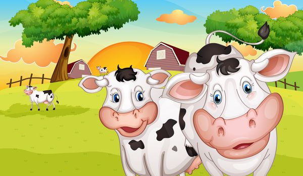 تصویر یک مزرعه با تعداد زیادی گاو
