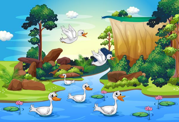 تصویر گروهی از اردک در رودخانه در جنگل