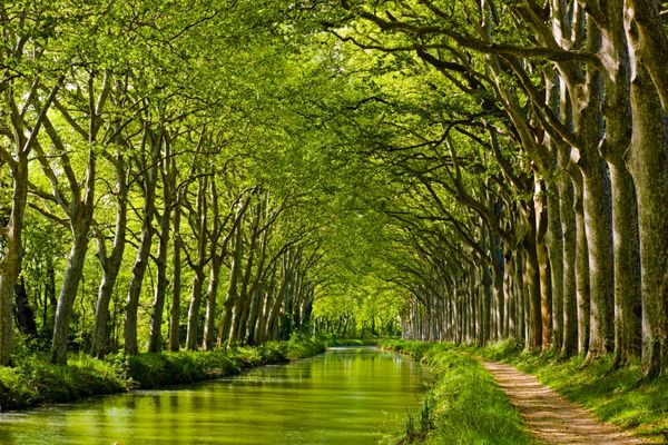 نمای اواخر بهار در کانال دو میدی در تولوز جنوب فرانسه