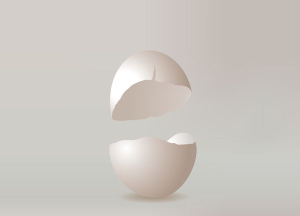تصویر تخم مرغ شکسته تخم مرغ ساخته شده توسط شیب ساده پس زمینه - مش- گرادیان