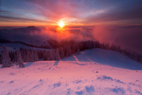 طلوع آفتاب رنگارنگ زمستانی بر فراز ابرها با صنوبرهای پر از برف