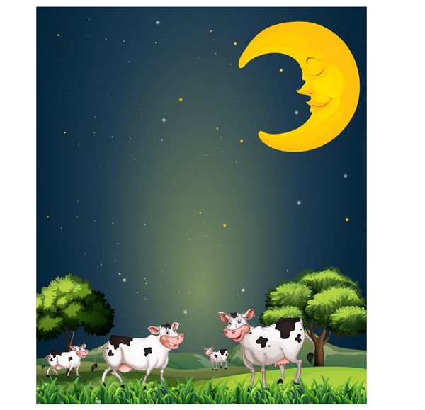 تصویر گاوها در زیر ماه خواب
