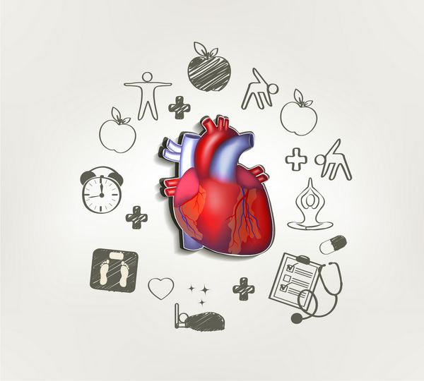 قلب سالم در وسط دست کشیده راهنمایی در اطراف غذای سالم تناسب اندام بدون استرس وزن سالم مراجعه به پزشک خواب خوب باعث سلامت قلب می شود