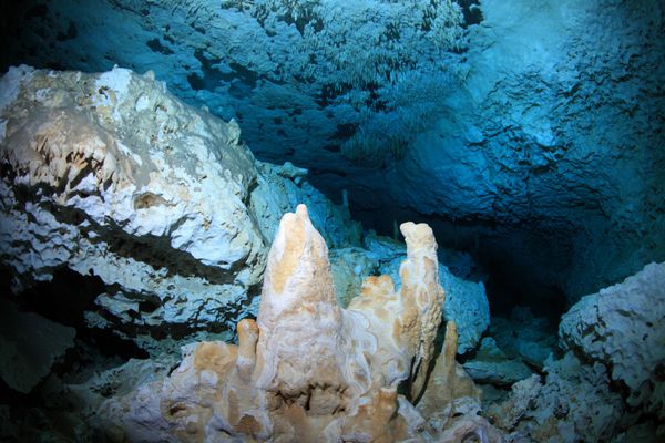 استالاگمیت های غار زیر آبی سنوت در شبه جزیره یوکاتان مکزیک