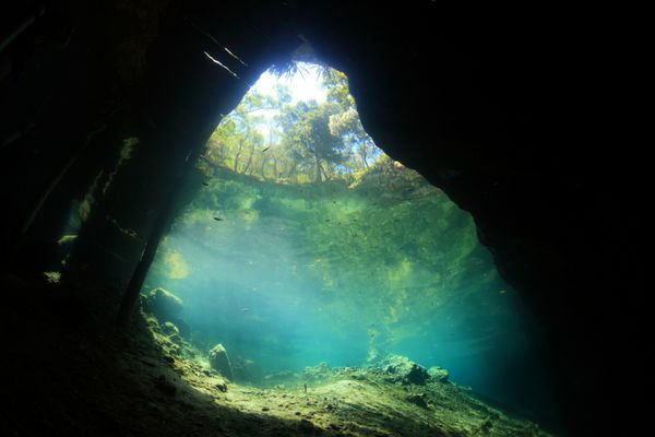محوطه ورودی غار زیر آبی سنوت از پایین