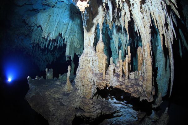استالاکتیت های غار زیر آبی سنوت در شبه جزیره یوکاتان مکزیک