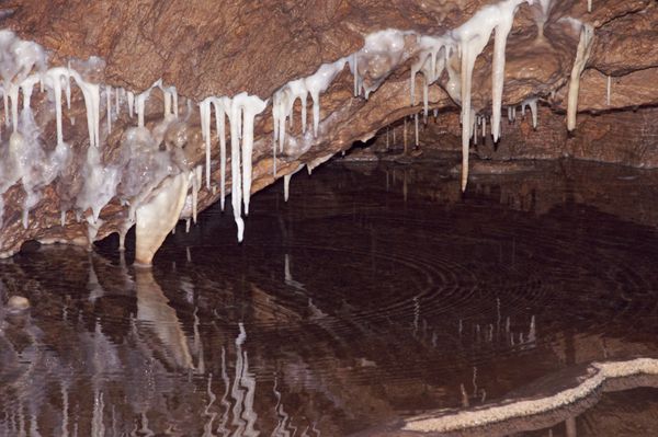 درون یک غار آهکی زیرزمینی بزرگ - استالاگمیت و استالاکتیت در غار خرس در لهستان