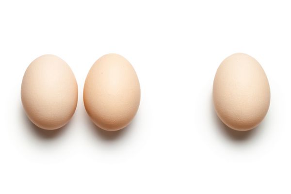 تخم مرغ در پس زمینه سفید نمای بالا