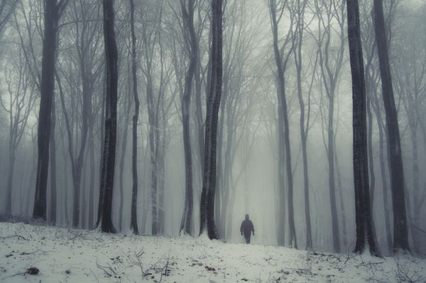 جنگل فانتزی در زمستان با مرد