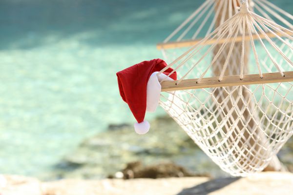 بانوج در استراحتگاه ساحلی استوایی در تعطیلات کریسمس با آب دریا در پس زمینه