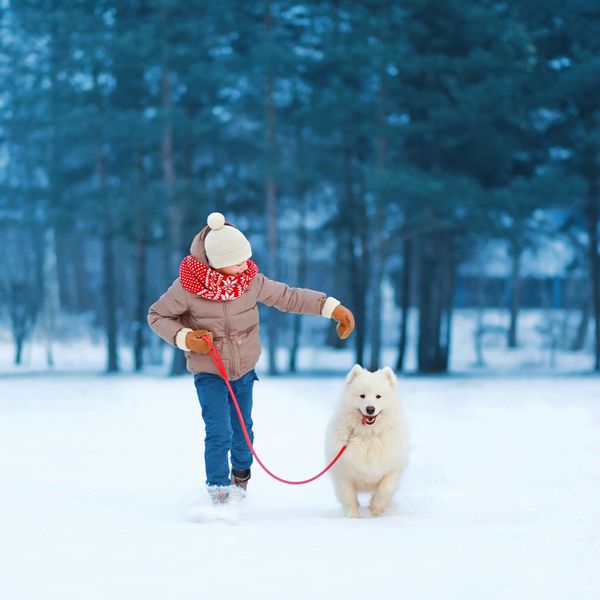 پسر نوجوان مبارک کریسمس که با سگ سامویید سفید روی برف در روز زمستان می دود