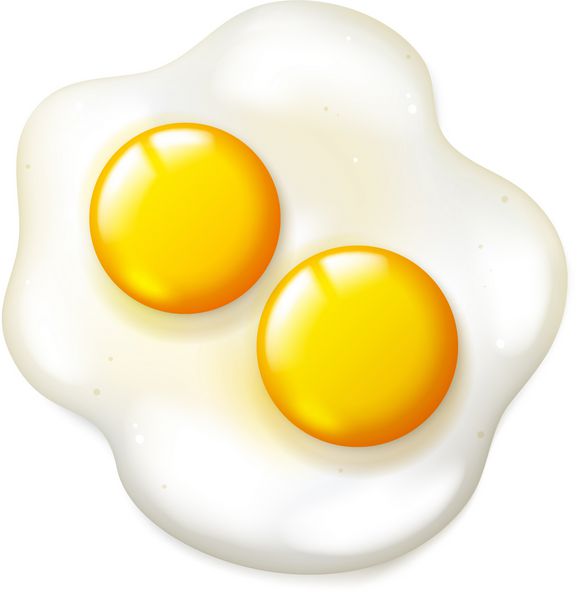 تخم مرغ واقع گرایانه سرخ شده در پس زمینه سفید وکتور شی غذای صبحانه