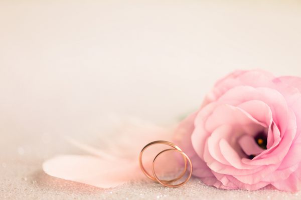 پس زمینه عروسی با حلقه های طلایی گل رز eustoma و پر صورتی روشن