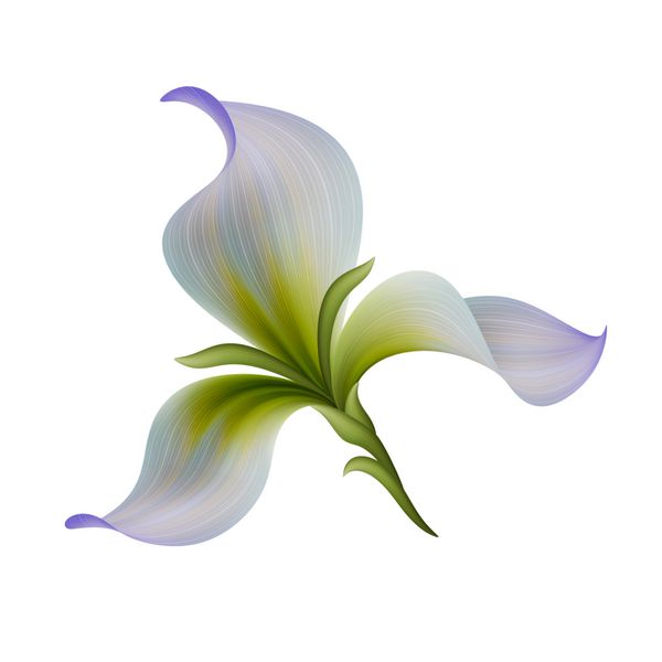 تصویر گل انتزاعی جدا شده در پس زمینه سفید تک عنصر طرح