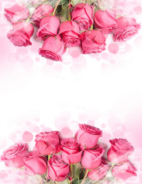 طراحی هنری با دسته گل بزرگ و زیبای رز قرمز - کارت با حاشیه گل