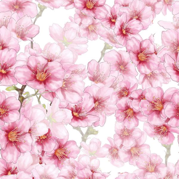 الگوی بدون درز شکوفه های گیلاس