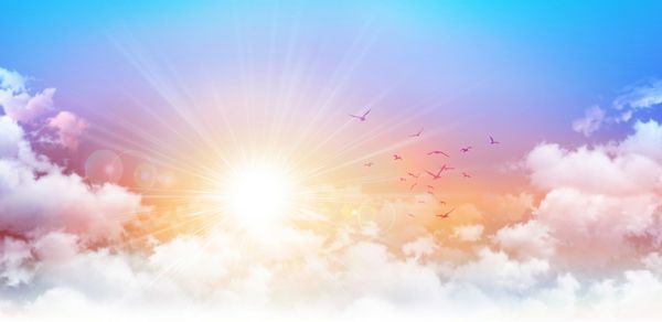 طلوع پانوراما پس زمینه آسمان صبح با وضوح بالا طلوع خورشید و پرندگانی که از میان ابرهای سفید می شکنند