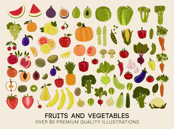 مجموعه مگا از تصاویر وکتور کیفیت برتر میوه ها و سبزیجات