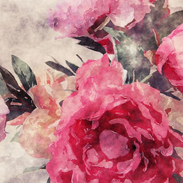 پس‌زمینه آبرنگ با گل‌های گرانج و گل‌های گرم با رنگ بنفش چای و گل رز صورتی و گل صد تومانی