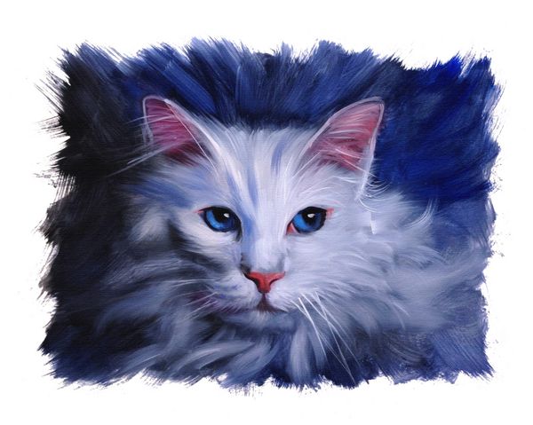 نقاشی رنگ روغن پرتره گربه آنگورا