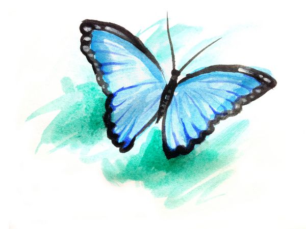 نقاشی آبرنگ پروانه آبی