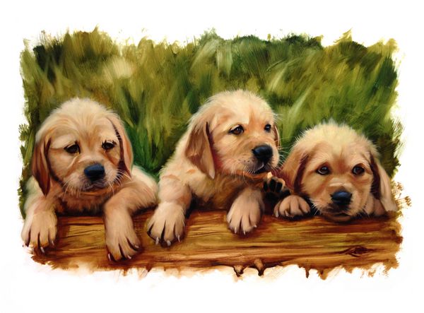 سه توله سگ دوستدار سگ آزمایشگاه ابله طلایی یا نقاشی رنگ روغن دیگر توله سگ لبه های پاره کلاسیک