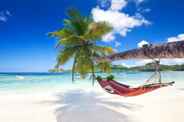 ساحل بهشت گرمسیری عالی جزیره سیشل با درختان نخل و بانوج