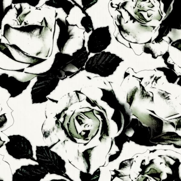 الگوی گلدار گرافیکی تک رنگ پرنعمت با گل رز سفید در زمینه سفید در رنگ‌های سیاه و سفید