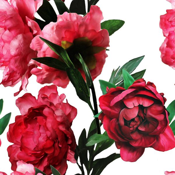 الگوی بدون درز گلدار آبرنگ تک رنگ هنری قدیمی با گل صد تومانی های قرمز جدا شده در پس زمینه سفید