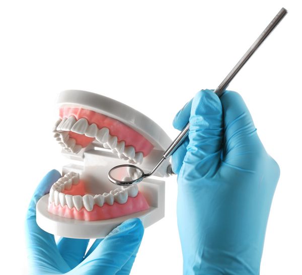 دندان های مصنوعی سفید در دست دندانپزشک جدا شده روی سفید