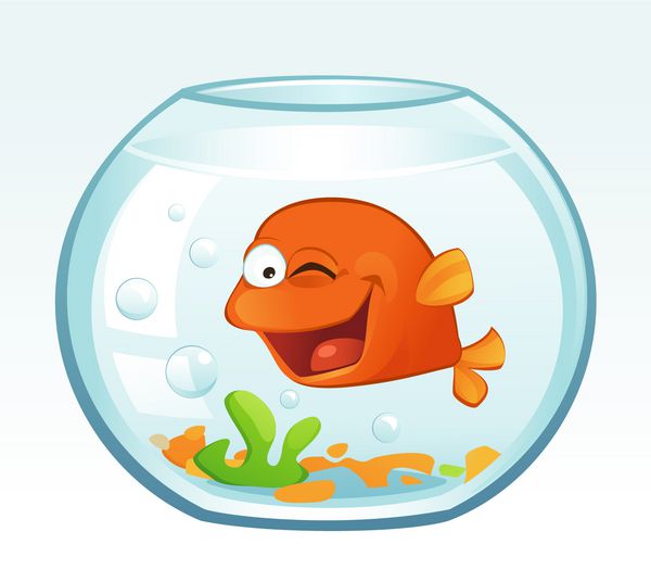 ماهی قرمز کوچک چشمک می زند