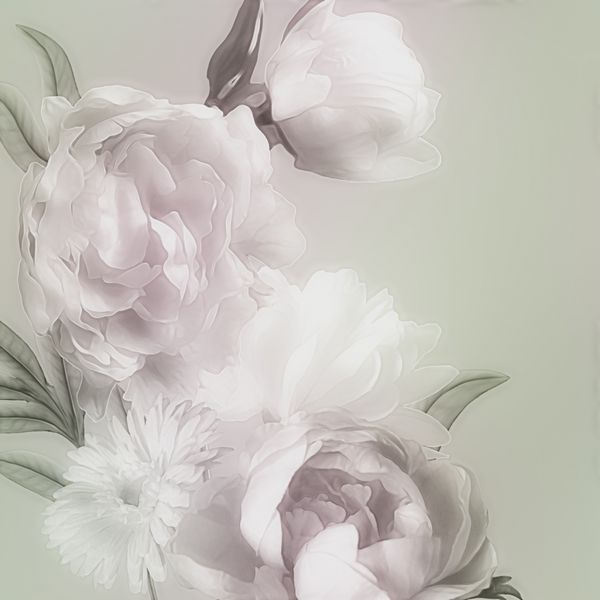 طرح گل‌های تار آبرنگ تک‌رنگ هنری با گل صد تومانی سفید و ژربرا جدا شده روی پس‌زمینه سبز خاکستری روشن با sp برای متن