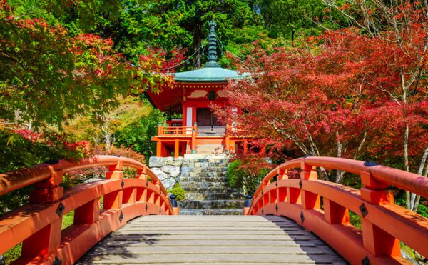 معبد دایگوجی در پاییز کیوتو ژاپن