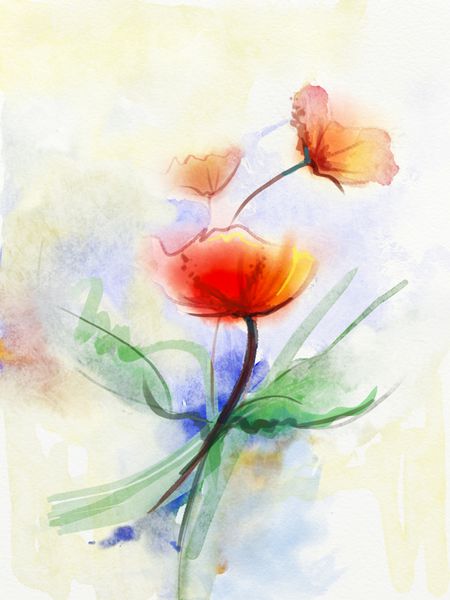 نقاشی‌های آبرنگ گل‌های انتزاعی گل‌های خشخاش قرمز با رنگ ملایم در زمینه کاغذ گرانج