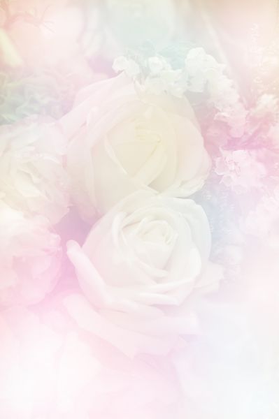 گل رز رنگی ملایم شیرین به سبک تاری ساخته شده با فیلتر رنگی برای پس زمینه