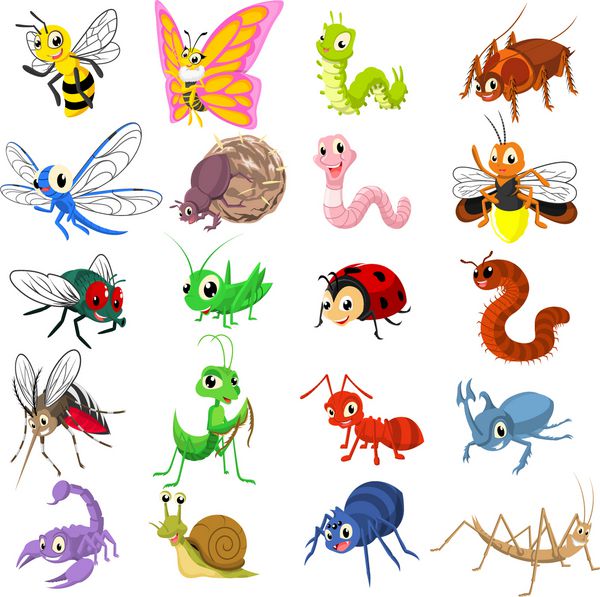 مجموعه ای از وکتور وکتور طرح مسطح شخصیت کارتونی حشرات