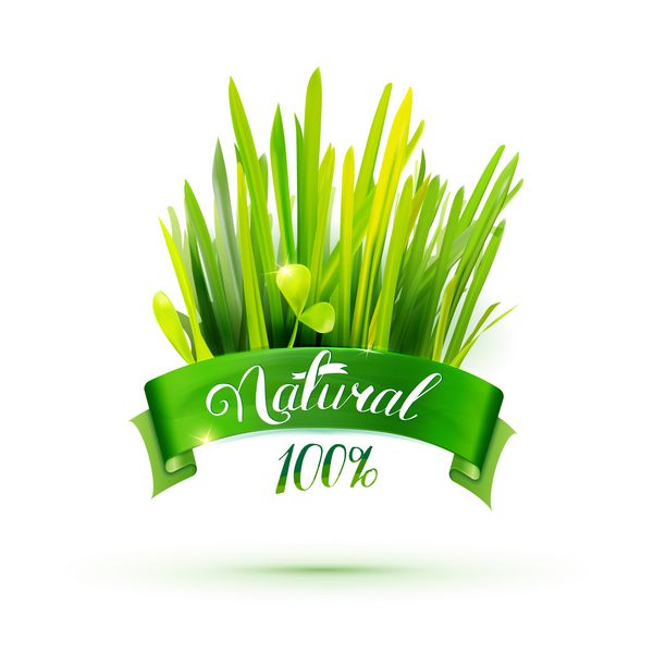 روبان سبز با نماد طبیعی و تصویر چمن بنر وکتور تبلیغاتی خلاقانه طراحی مواد غذایی سازگار با محیط زیست برچسب محصول کشاورزی
