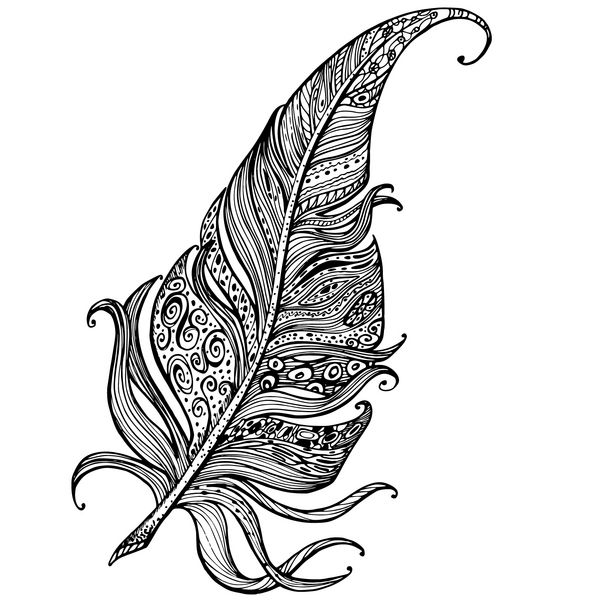 خط نقاشی دستی از تک پر با زیور آلات به سبک زنتاگل تصاویر وکتور منحصر به فرد رنگ های سیاه و سفید