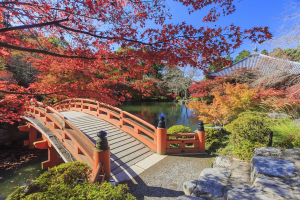 نمای عالی رنگ پاییز در معبد دایگوجی ژاپن در پاییز حدود نوامبر