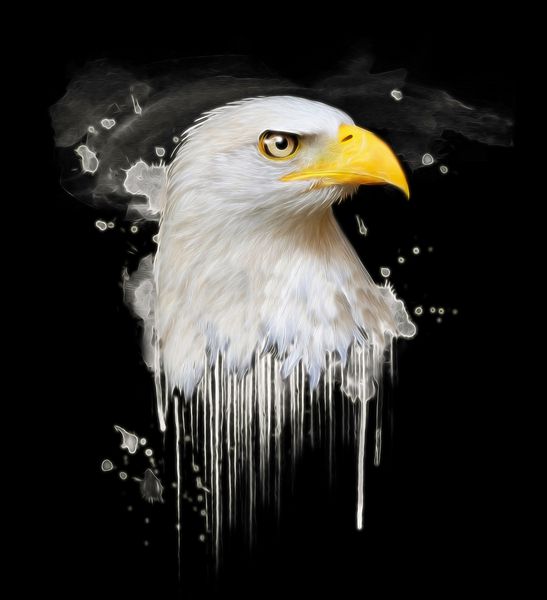 تصویر عقاب آبرنگ تصویر عقاب تصویر عقاب با دست طراحی شده بر روی پس زمینه سیاه شکارچیان نقاشی حیوانات وحشی طراحی چاپ بوم طرح چاپ گرافیکی