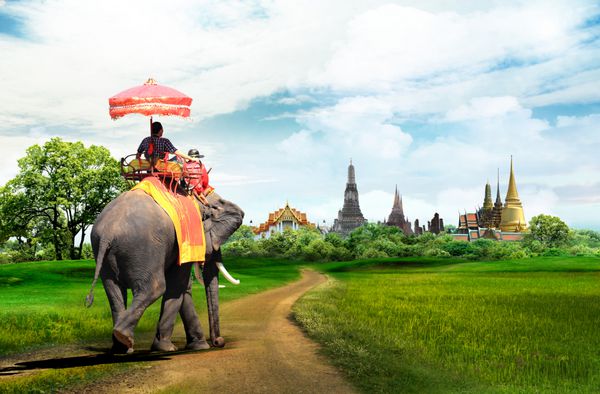 فیل برای گردشگران در یک تور سواری در بانکوک تایلند مفهوم