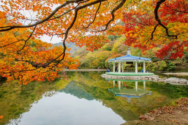 naejangsan کره - 1 نوامبر گردشگران در حال عکس گرفتن از مناظر زیبای اطراف پارک naejangsan کره جنوبی در فصل پاییز در 1 نوامبر 2015