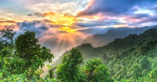 طلوع خورشید در دروازه بهشت ین بای زمانی که خورشید از بالای دره طلوع می‌کند پرتوهایی با رنگ زرد روشن به بلندترین منطقه جنگلی ین بای ویتنام می‌تابد