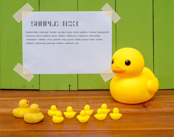 مفهوم سخنرانی یا کنفرانس اردک زرد بزرگ در جلوی کوچکتر ایستاده تا جزئیات را در کاغذی که روی دیوار چوبی از جمله متن نمونه وصل می‌شود توضیح دهد