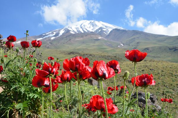 کوه دماوند در ایران