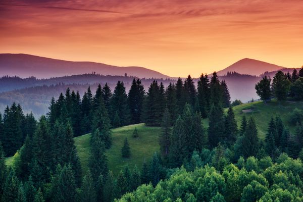 تپه های سبز زیبا در غروب کارپات اوکراین اروپا دنیای زیبایی