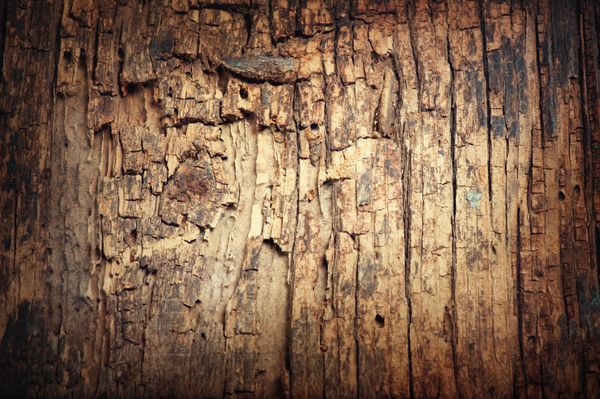 نمای نزدیک بافت چوبی قدیمی چوب آسیب دیده از نزدیک پس زمینه چوبی