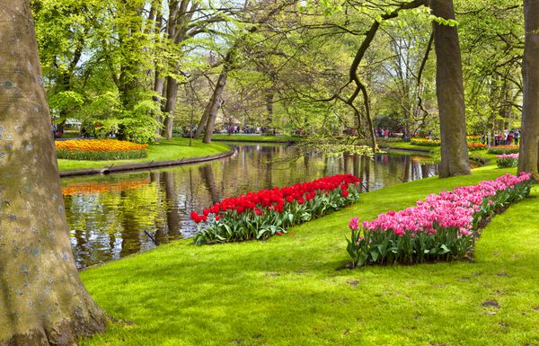 کوکنهوف - بزرگترین باغ گل در اروپا هلند