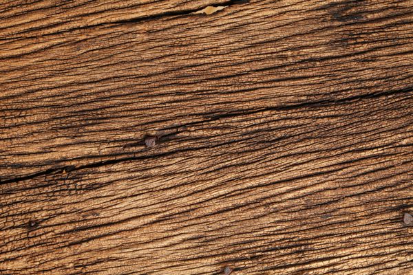 چوب سخت رنگ قهوه ای ایده مرتبط با مفهوم پس زمینه موج سواری و بافت را نشان می دهد